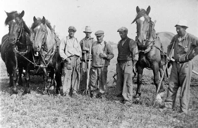Arbetslaget på gården